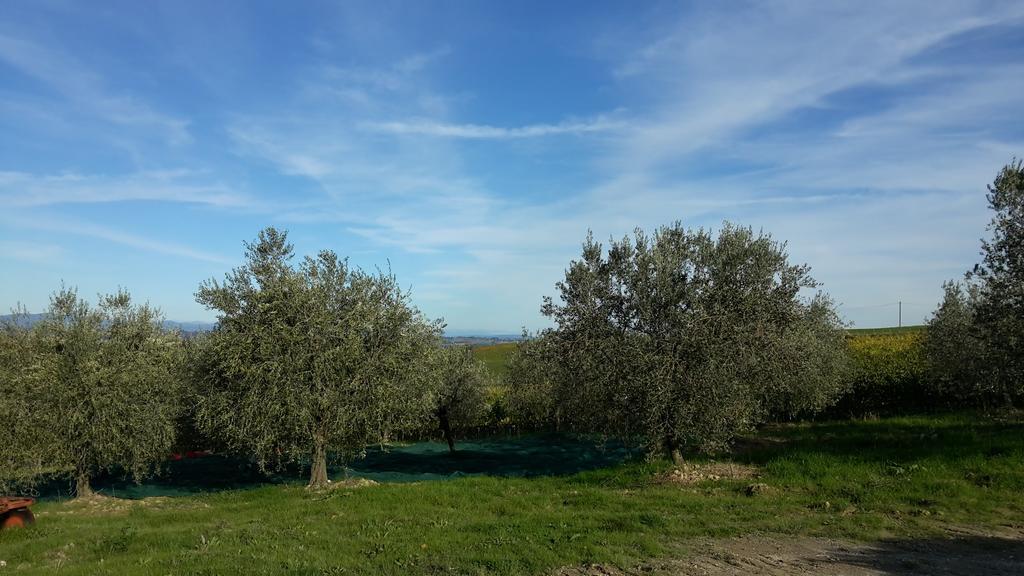 Montepulciano Stazione Agriturismo Podere Casa Al Vento מראה חיצוני תמונה