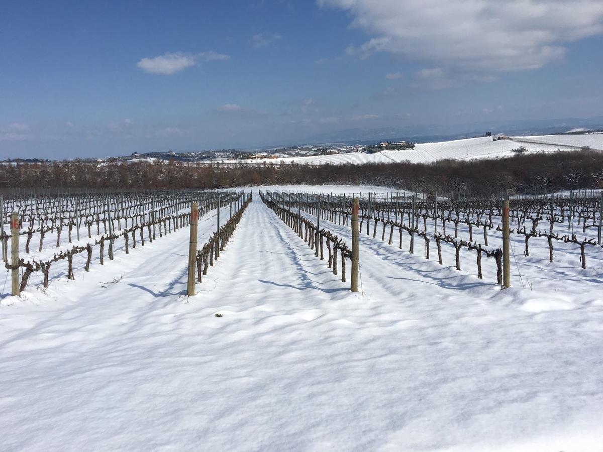 Montepulciano Stazione Agriturismo Podere Casa Al Vento מראה חיצוני תמונה