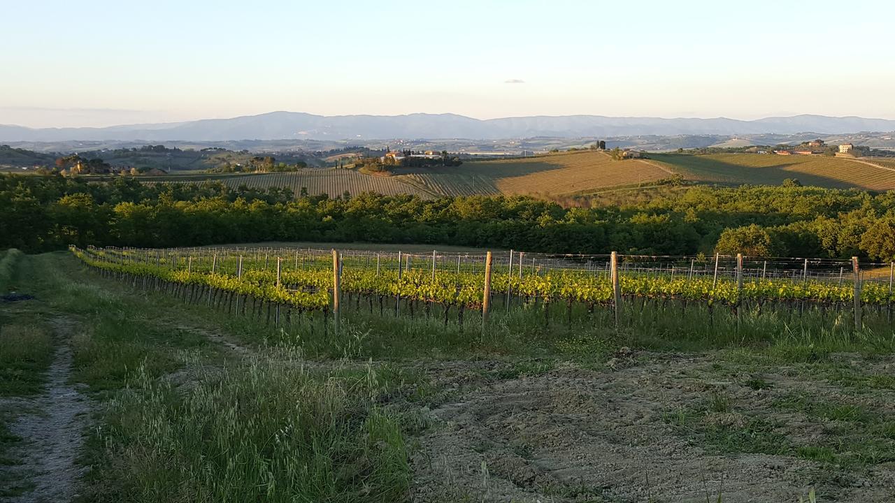 Montepulciano Stazione Agriturismo Podere Casa Al Vento מראה חיצוני תמונה