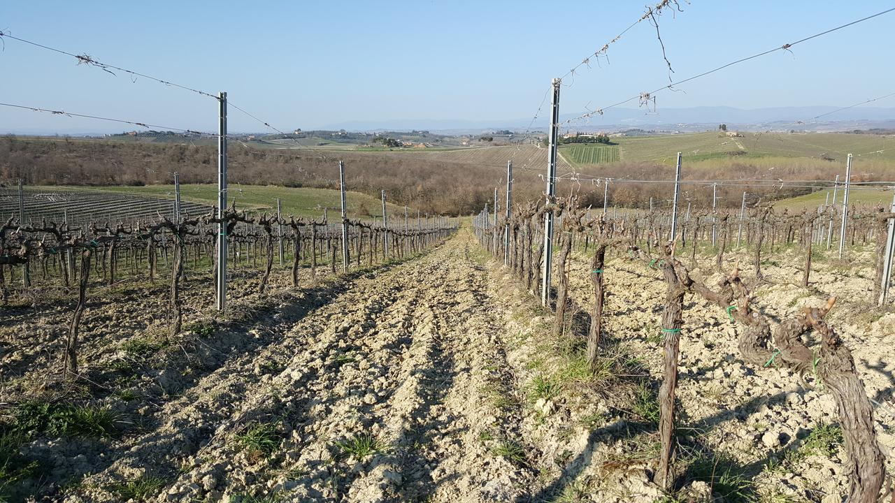 Montepulciano Stazione Agriturismo Podere Casa Al Vento מראה חיצוני תמונה