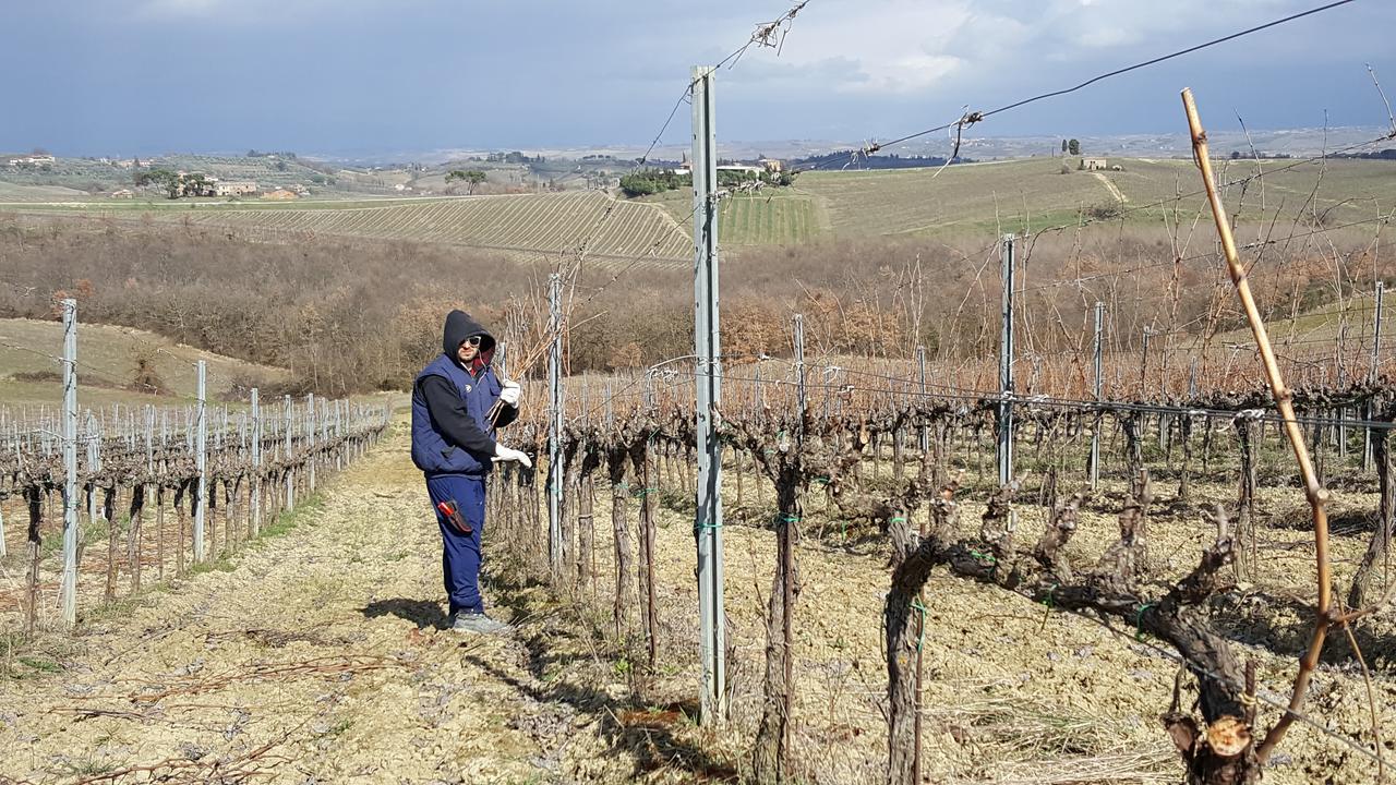 Montepulciano Stazione Agriturismo Podere Casa Al Vento מראה חיצוני תמונה